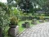 20110128_Philippines-061.jpg