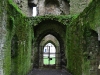 Ireland2008-0004.jpg